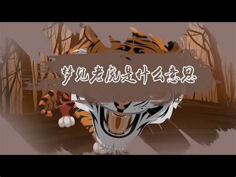 夢見白虎|夢見白虎】